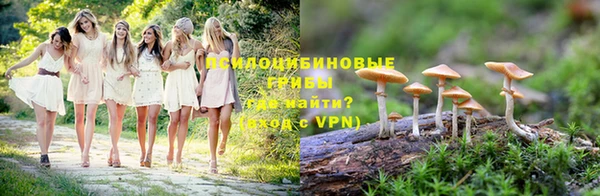 дживик Нязепетровск